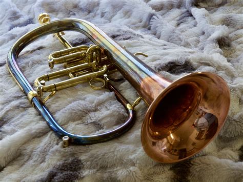 trumpet herald forum